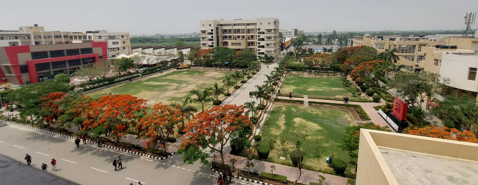 Chitkara University