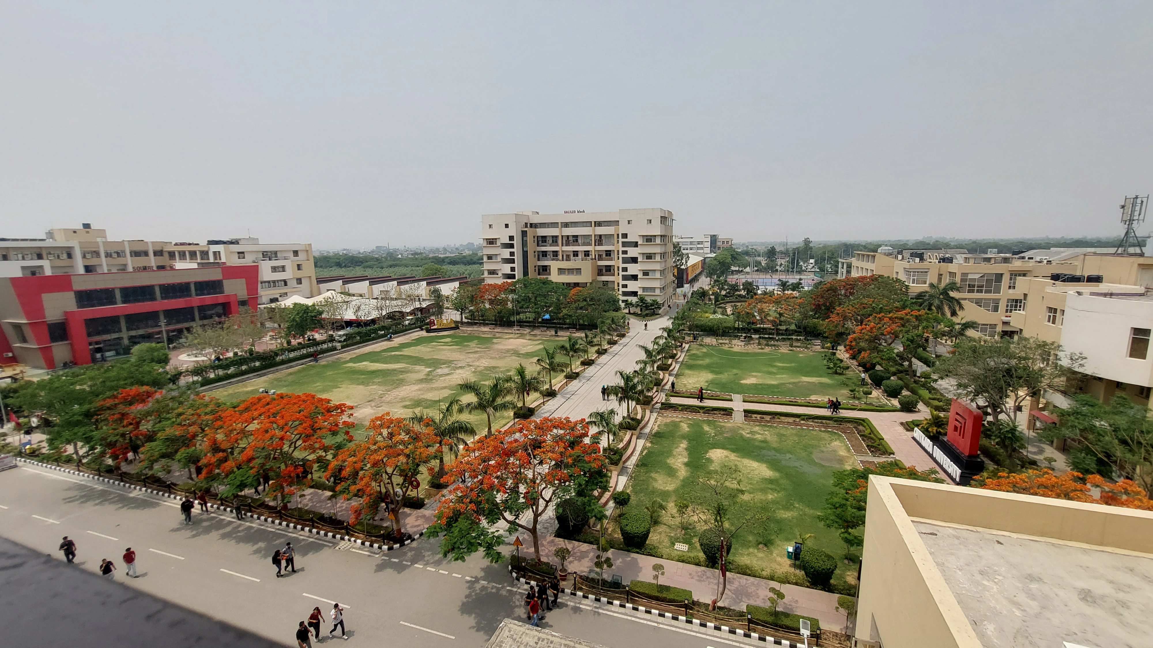 Chitkara University